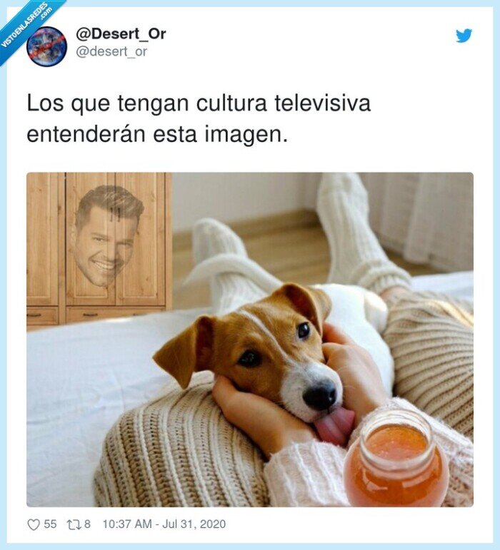 ricky,martín,perro,mermelada,imagen,armario,chica