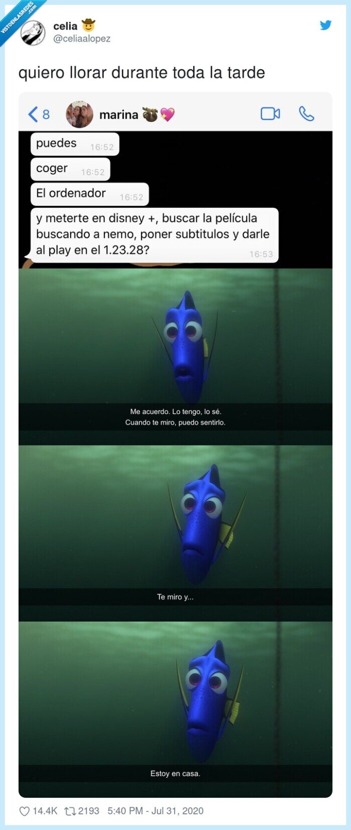 llorar,peli,nemo,subtítulos,mensaje