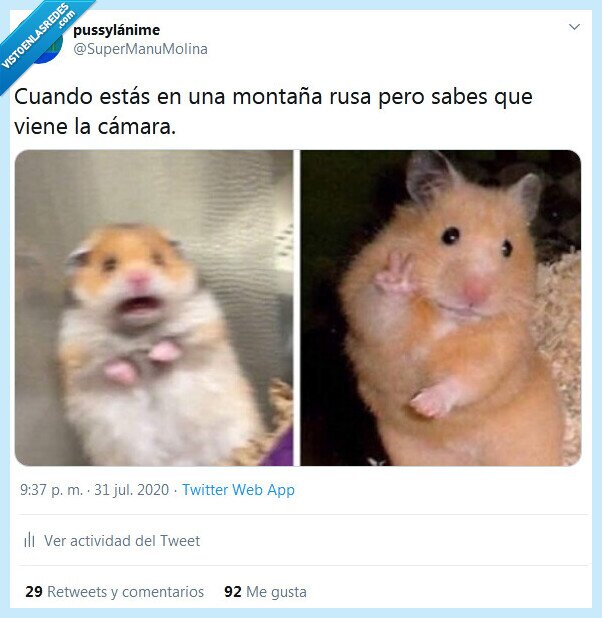 cámara,montaña rusa,pose