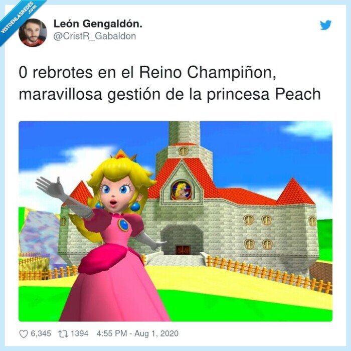 champiñon,maravillosa,rebrotes,gestión,princesa,peach