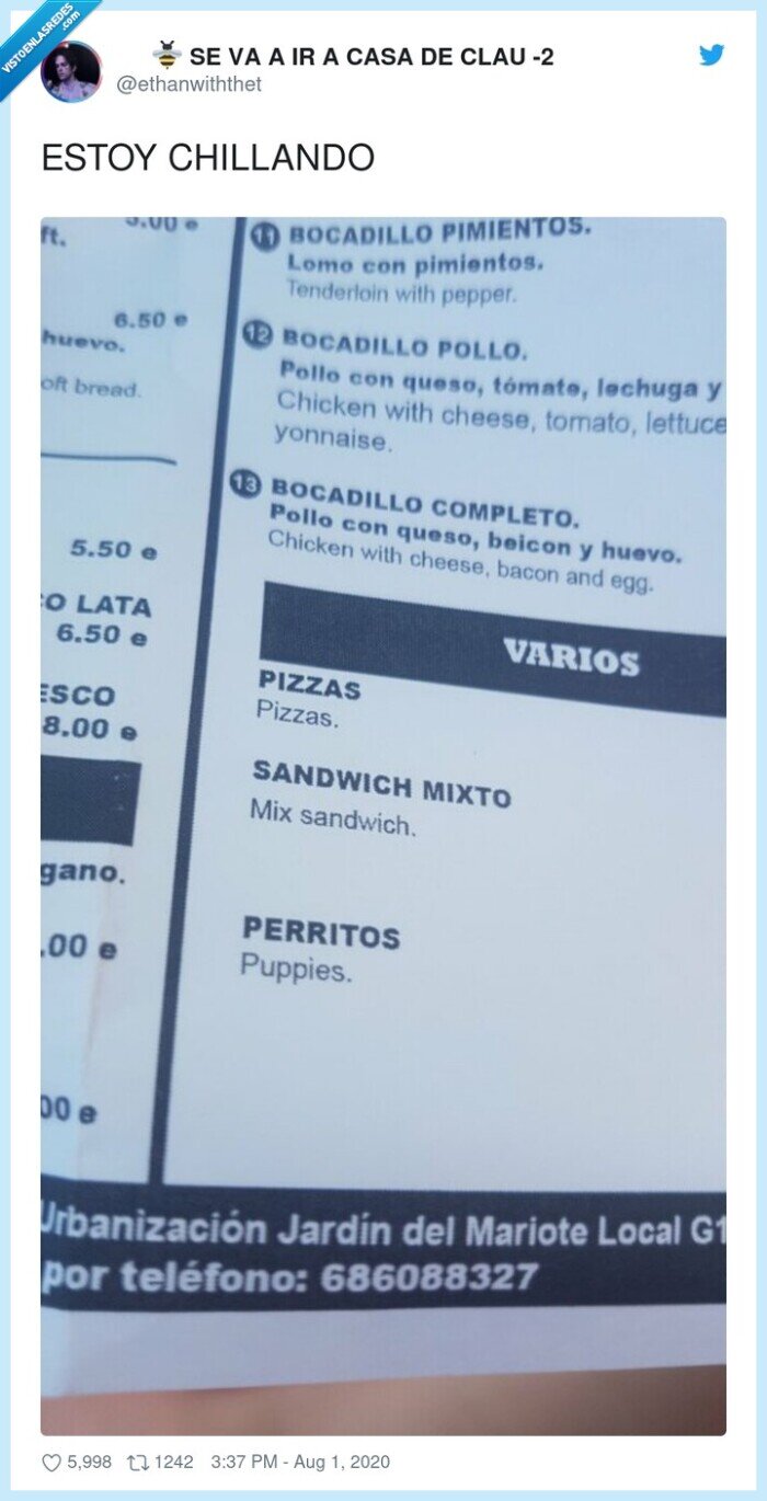 traducción,perritos,perros,puppies