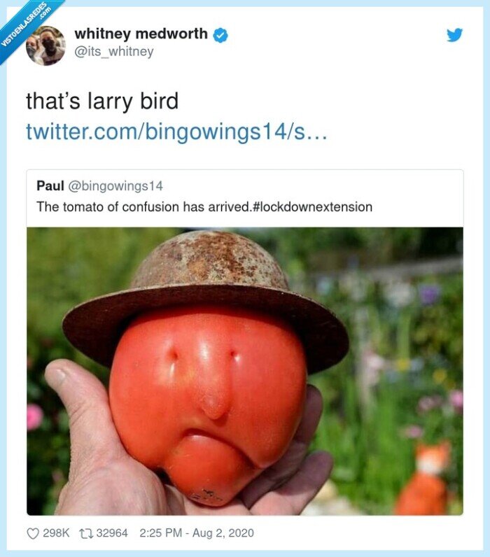 larry,bird,tomate