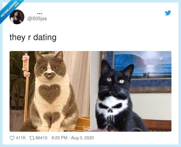 citas,gatos,first,dates
