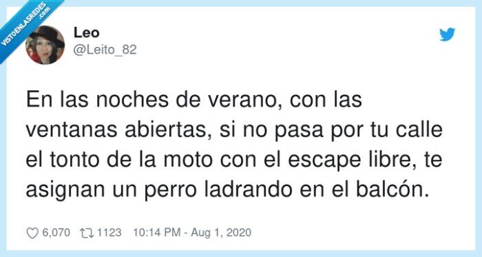 noches,verano,perro,ladrando,moto,escape,libre