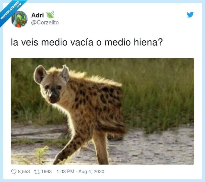 vacía,medio,hiena