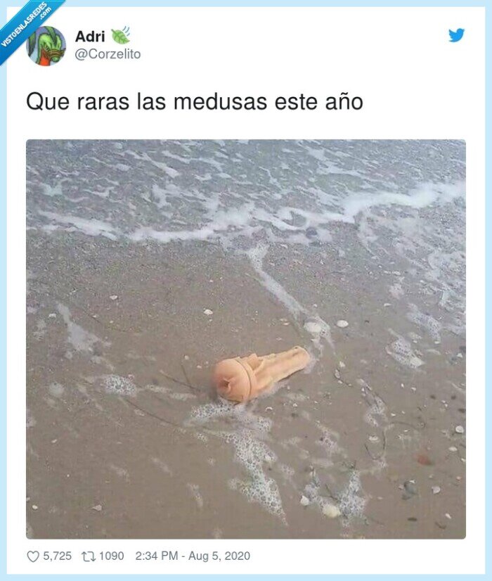 medusas,raras,playa