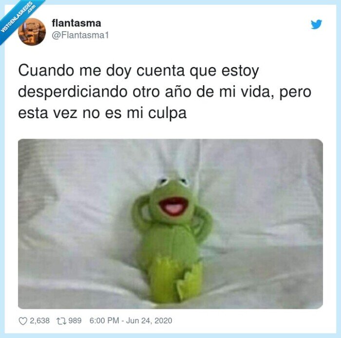 año,desperdiciado,culpa,tranquilo