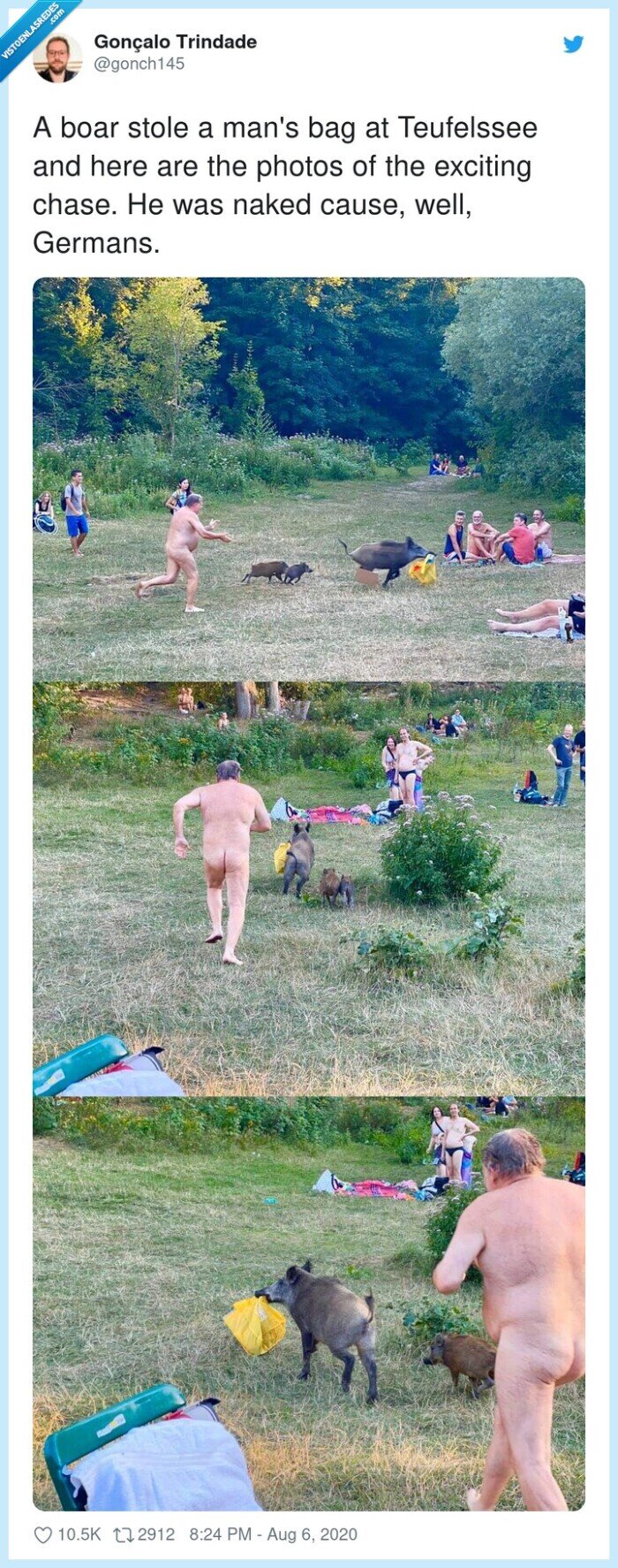 hombre,desnudo,robado,jabalíes,ropa