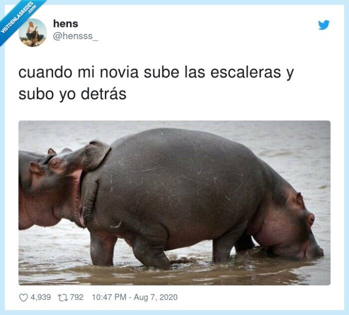 escaleras,detr&aacute;s,novia,sube