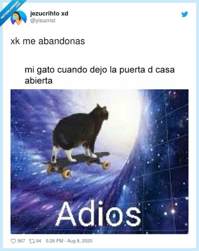 abandonas,gato,casa,adios