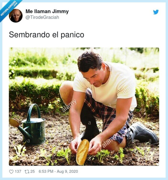 sembrando,panico