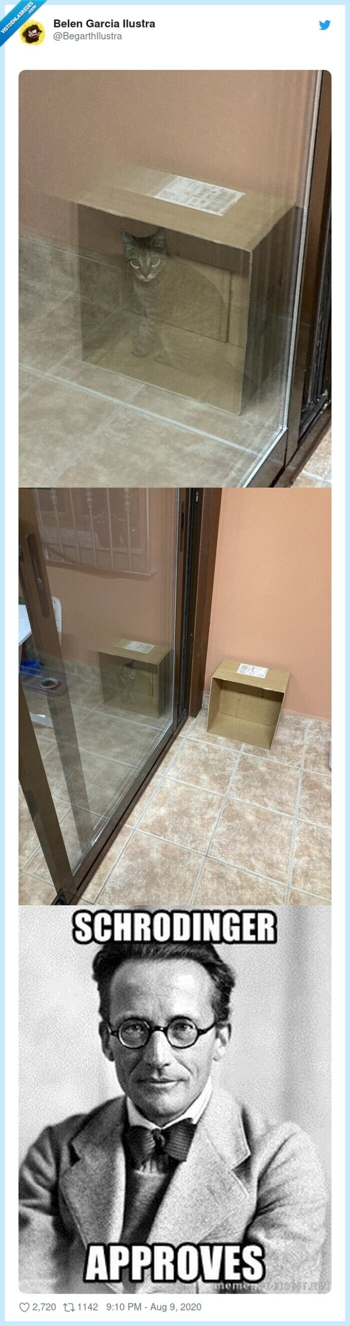 gato,schrodinger,caja