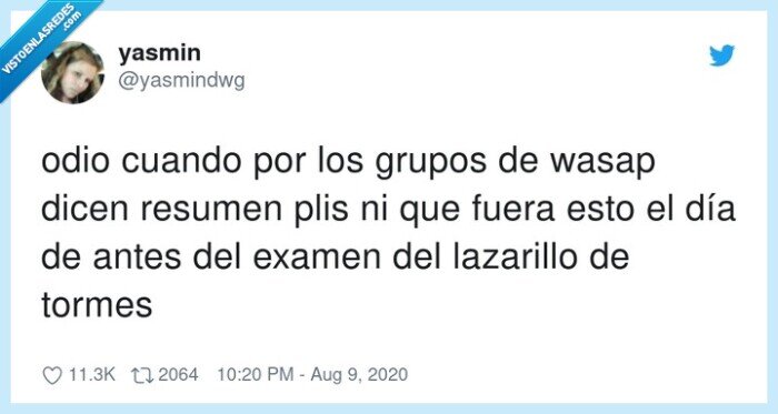 lazarillo,resumen,tormes,examen,grupos,whatsapp,mensajes
