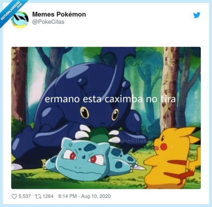 adolescente,cachimba,fumar,fiesta