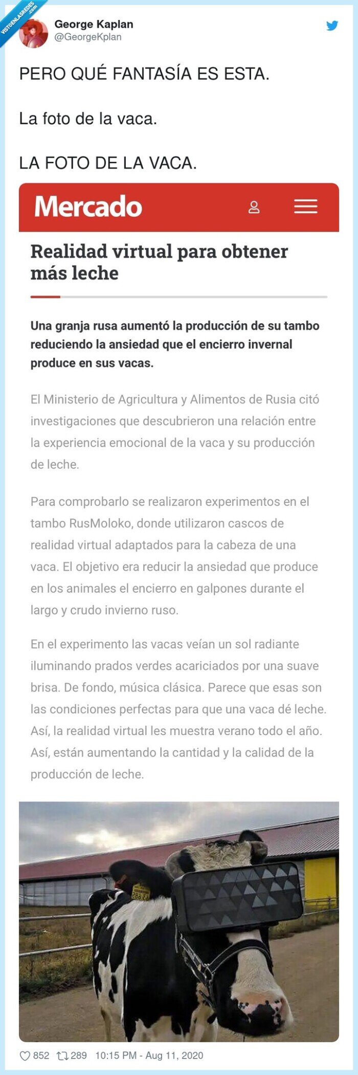 fantasía,vaca,leche,realidad,virtual