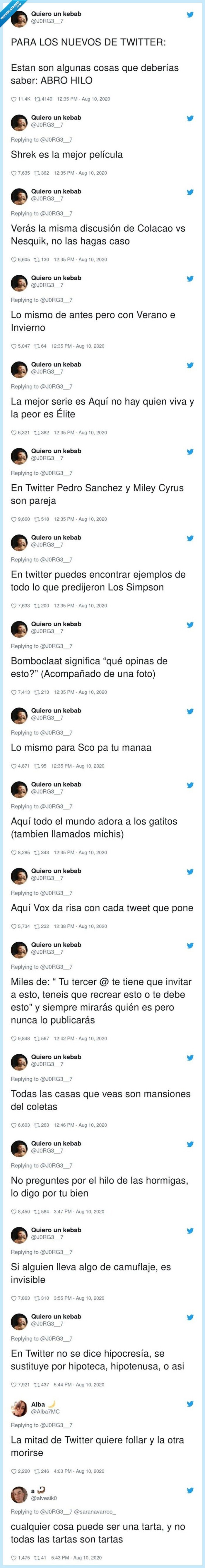 twitter,hilo,mundo,paralelo,novatos