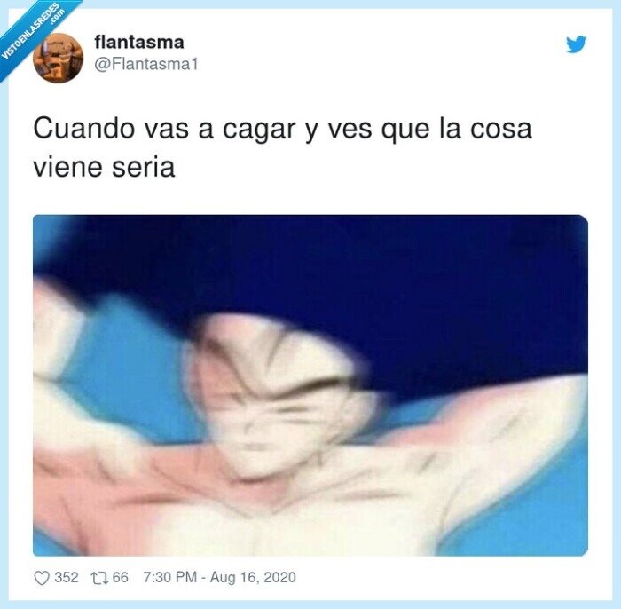 cagar,cosa,seria,mañana,camiseta