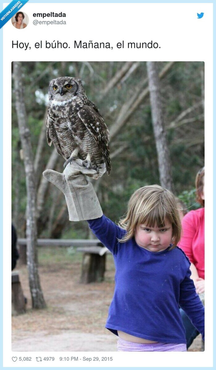 mañana,búho,mundo,hoy,niña