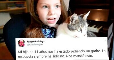 662180 - Esta niña de 11 años quiere un gato como sea y les hace un tremendo chantaje emocional en forma de vídeo a sus padres que se ha hecho muy viral
