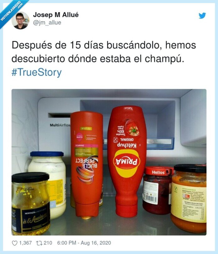 buscar,champú,nevera