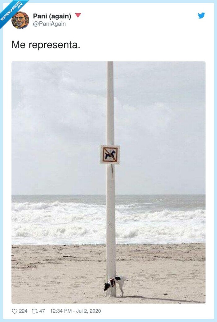 perro,mear,señal,rebelde.