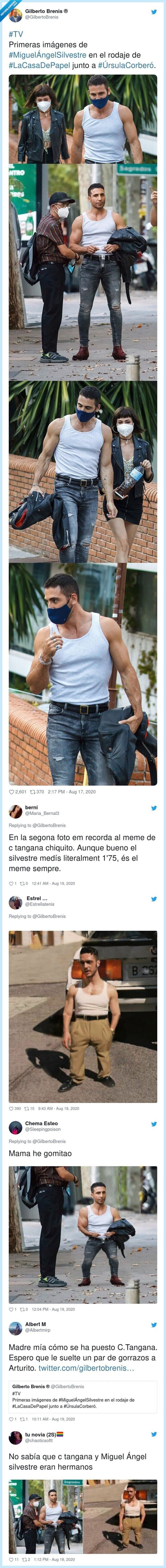 miguel,ángel,silvestre,casa,papel,primeras,imágenes,parecido