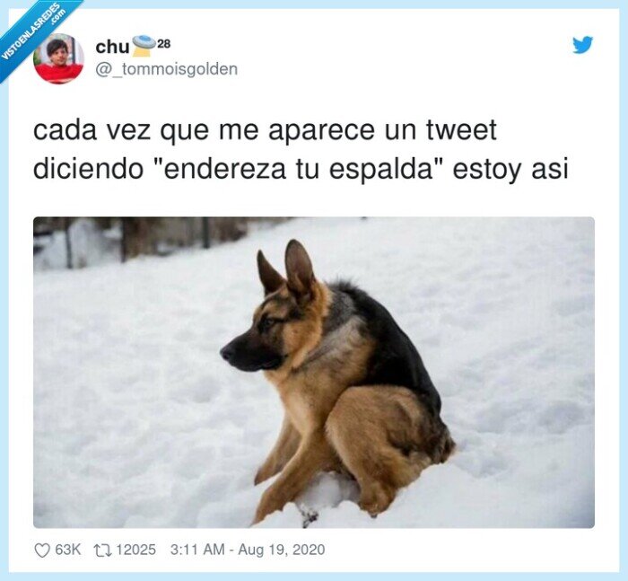 endereza,espalda,tweet,postura