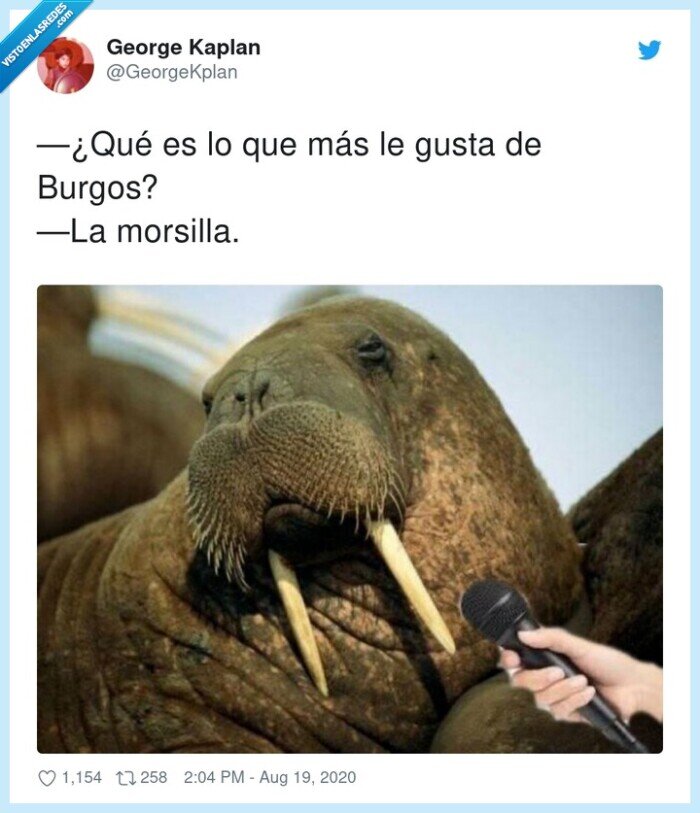 morsilla,burgos,morsa