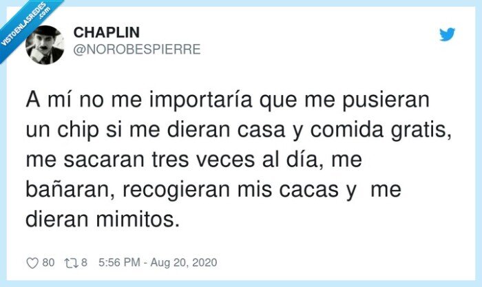 chip,casa,comida,cacas,mimos