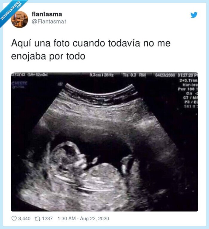 enfado,barriga,madre