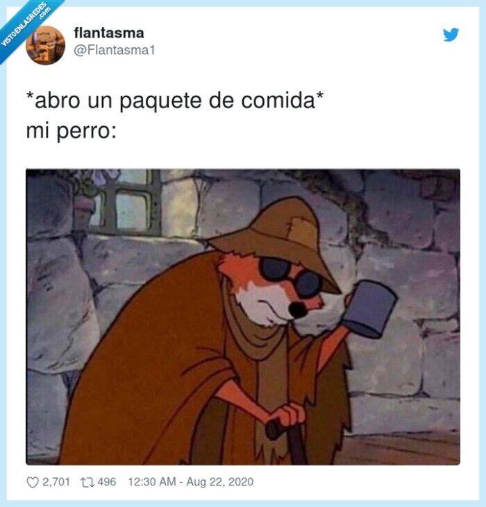 comida,paquete,abro,perro