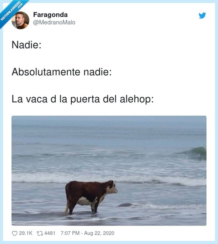 puerta,alehop,vaca