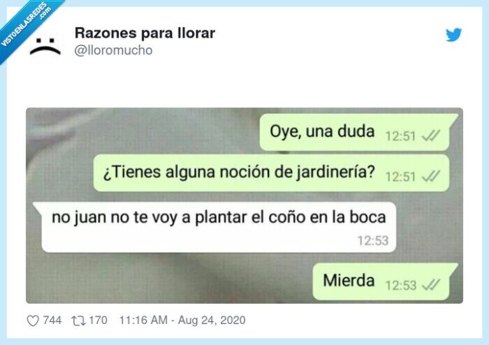 conversación,whatsapp,ligar,jardinería