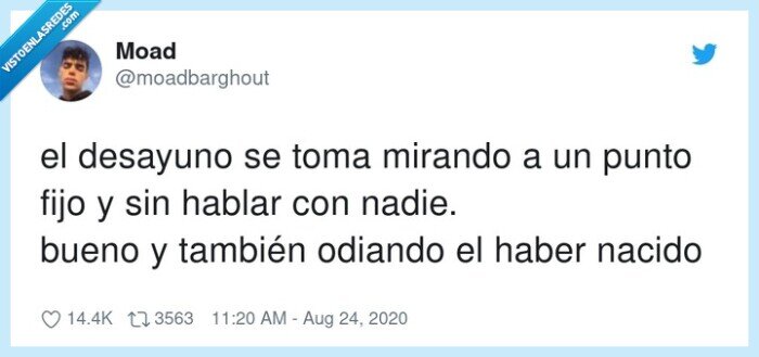 desayuno,mirando,odiando,nadie