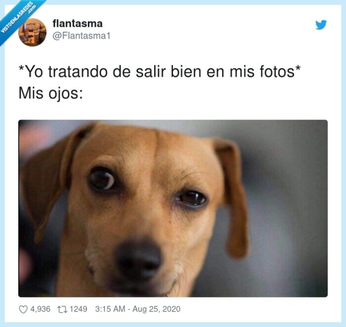 tratando,fotos,salir,bien