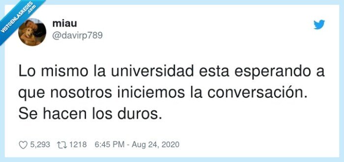 conversación,universidad,esperando,iniciemos,nosotros,mismo