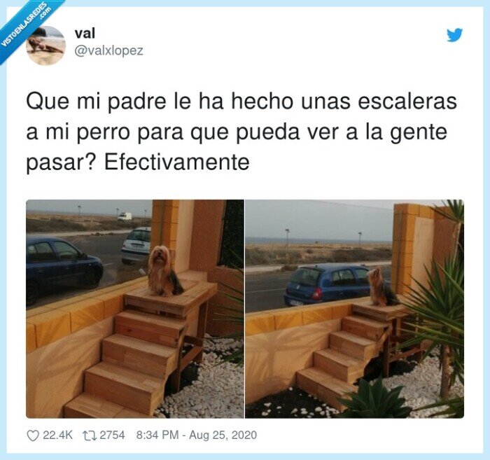 perro,escaleras,padre,cotilleo