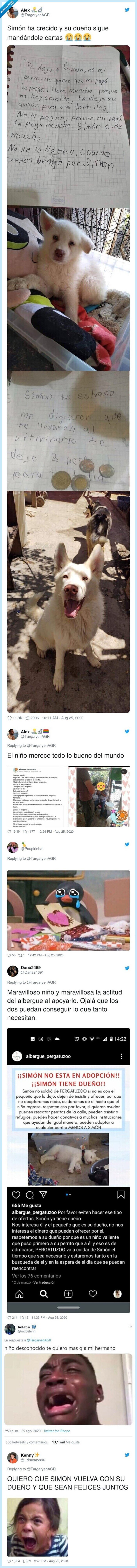 simón,perro,niño,pesos,albergue,twitter