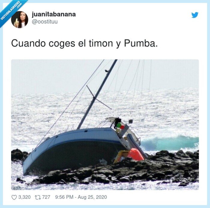 cuando,coges,timon,pumba