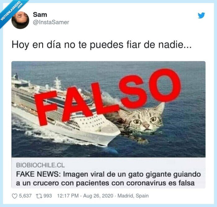 gato,falso,crucero