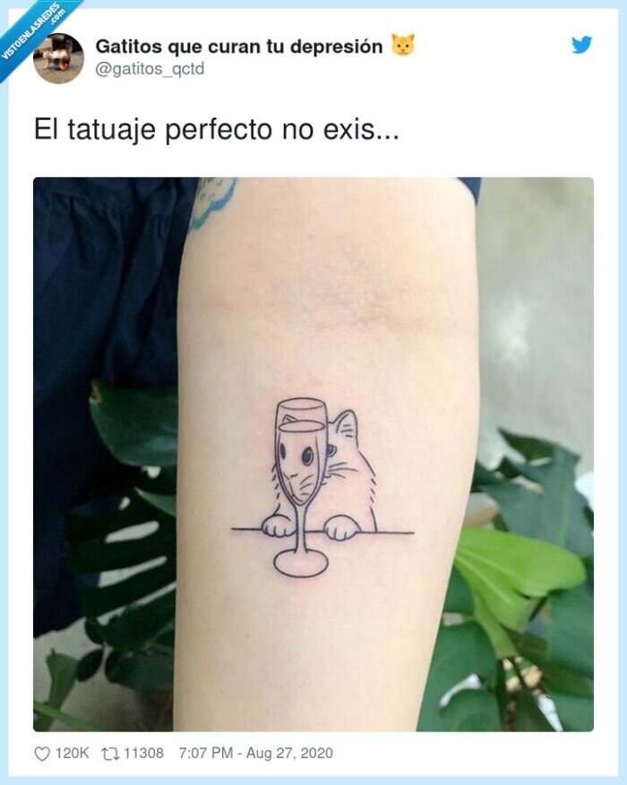 perfecto,tatuaje,existe,gato,copa