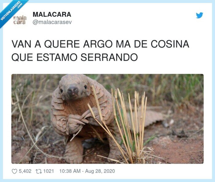 cerrando,cocina,meme