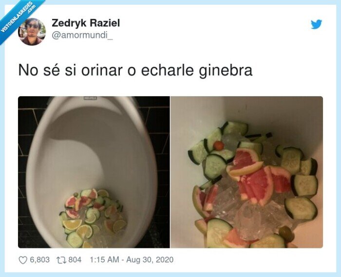 ginebra,lavabo,fruta,hielo,orinar