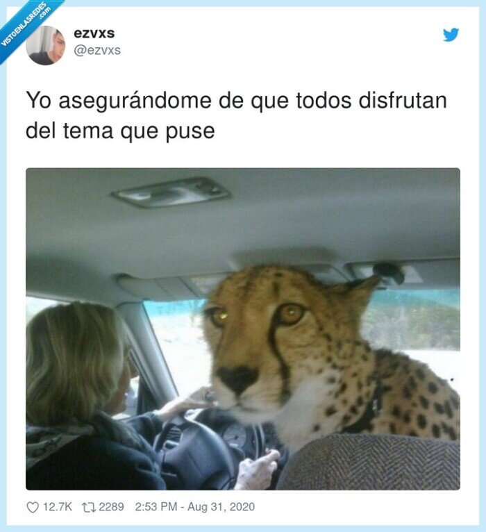 dj,coche,música,copiloto