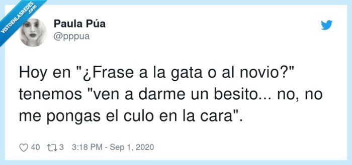 gata,novio,culo,cara