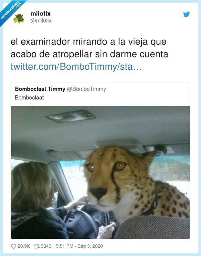 examinador,atropellar,mirando,vieja