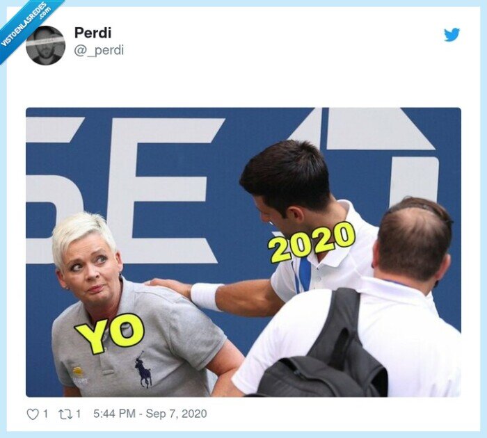 djokovic,juez de línea,tenis,pelotazo