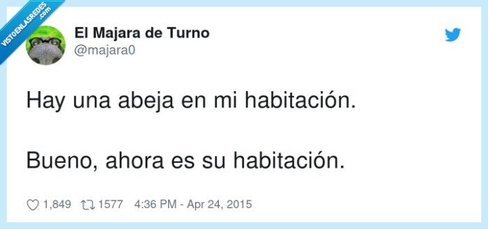 habitaci&oacute;n,abeja