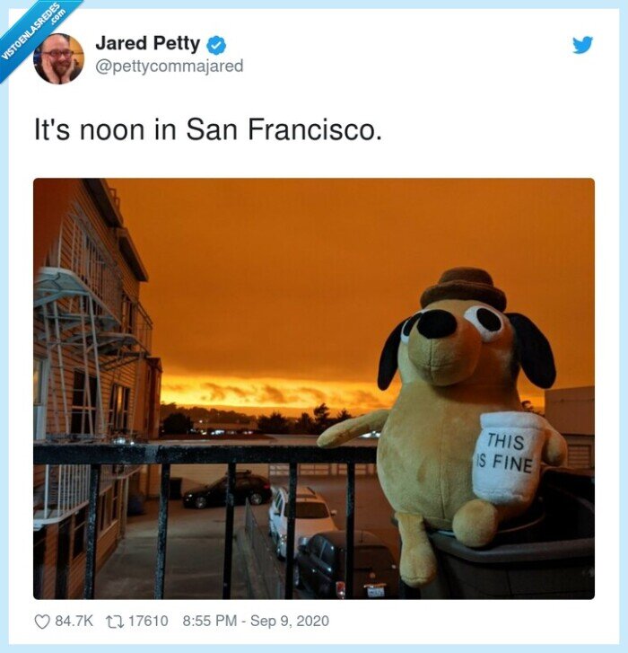 this is fine,meme,san francisco,california,incendios