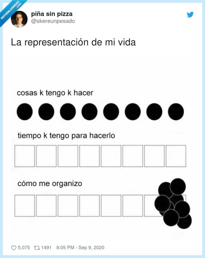 representación,vida,organizarse,tareas